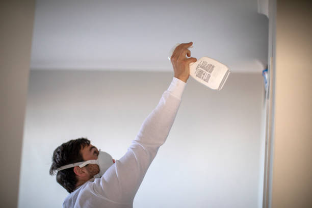 Best Attic Mold Remediation in Bonham, TX