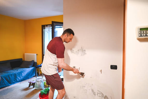 Best Mold Remediation for Specific Building Types in Bonham, TX
